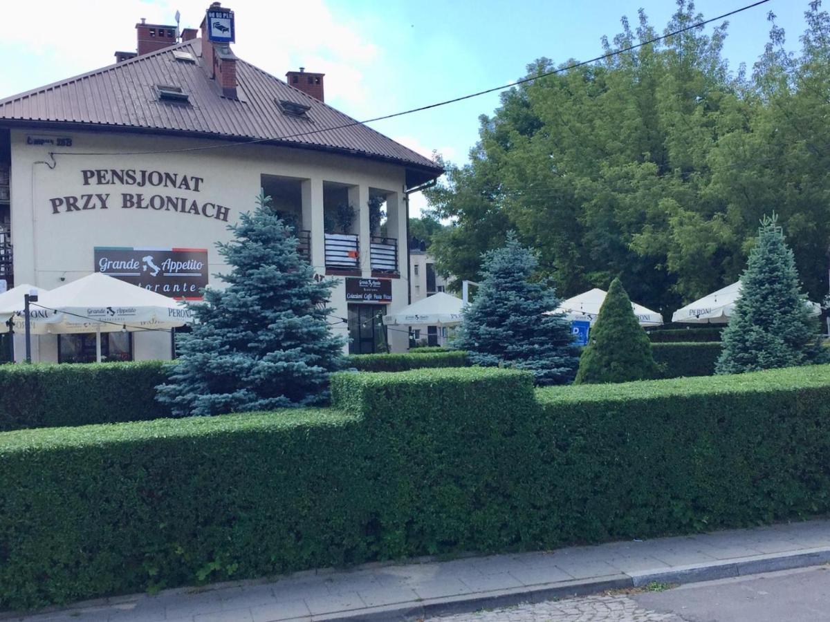 Pensjonat Przy Bloniach Krakau Exterior foto