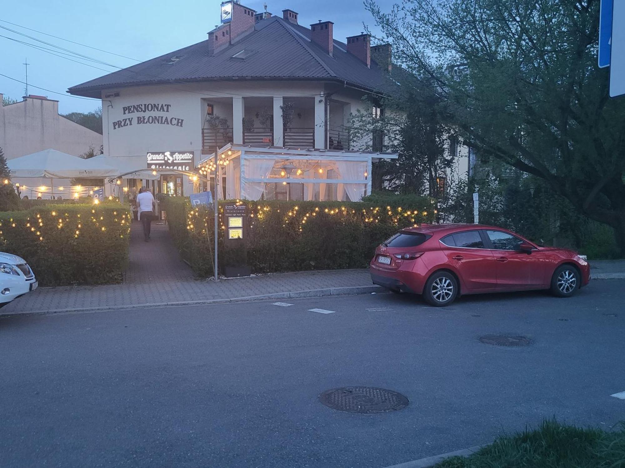 Pensjonat Przy Bloniach Krakau Exterior foto